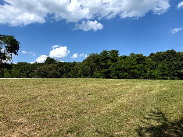 More of Tract 6 at Jackson Oaks