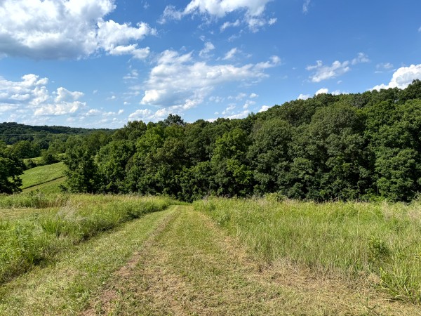 Tract 6 at Jackson Oaks property photo