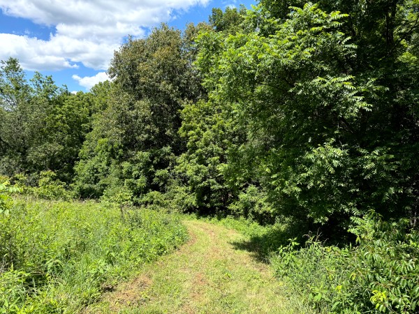 Tract 6 at Jackson Oaks property photo