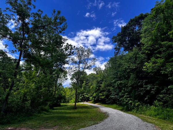 More of Tract 2 – Ohio River Retreat