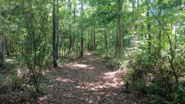 Radcliff Raccoon Creek property photo