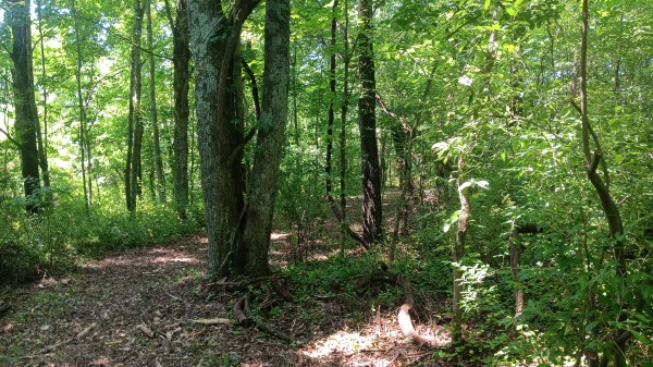 Radcliff Raccoon Creek property photo