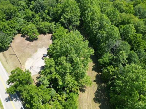 More of Radcliff Raccoon Creek