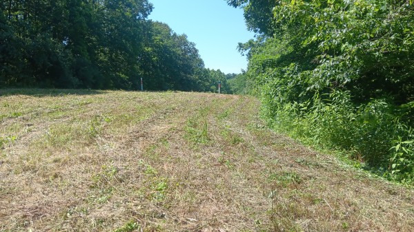 Radcliff Raccoon Creek property photo