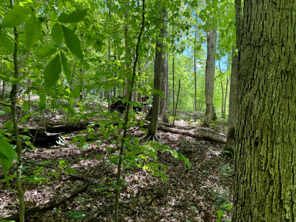 Tract 5 - The Woods at Little Kyger property photo