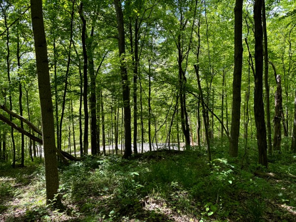 Tract 5 - The Woods at Little Kyger property photo