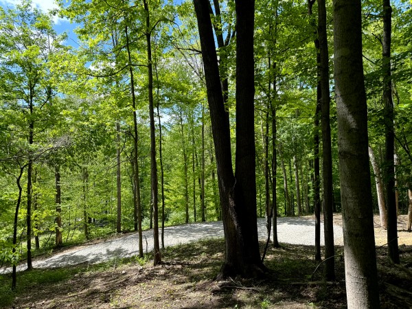 Tract 5 - The Woods at Little Kyger property photo