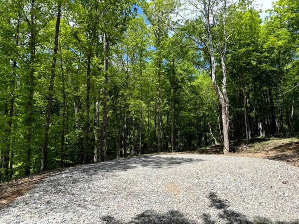 Tract 5 - The Woods at Little Kyger property photo