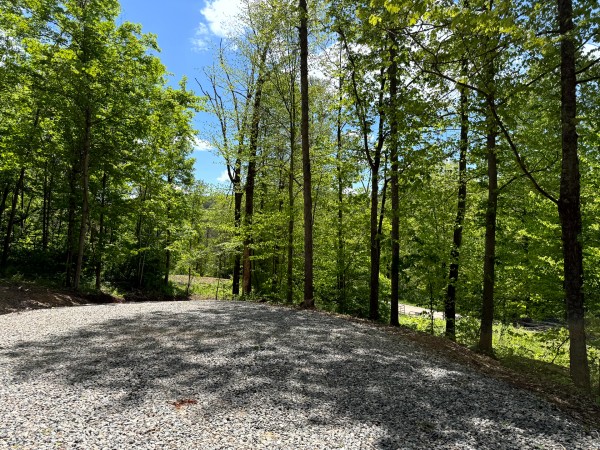 Tract 5 - The Woods at Little Kyger property photo