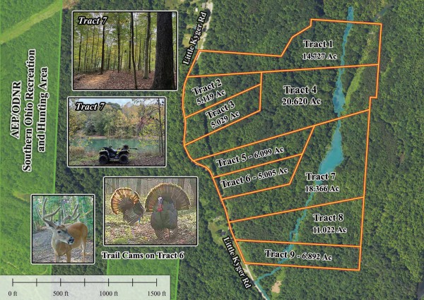 More of Tract 5 - The Woods at Little Kyger