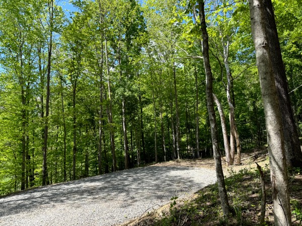 More of Tract 5 - The Woods at Little Kyger