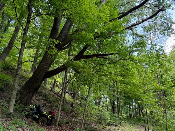 Tract 5 - The Woods at Little Kyger property photo