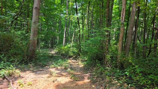 Tract 2 at Muskingum Woods property photo
