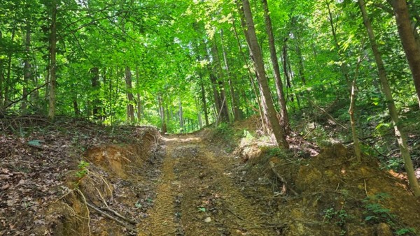 Tract 2 at Muskingum Woods property photo