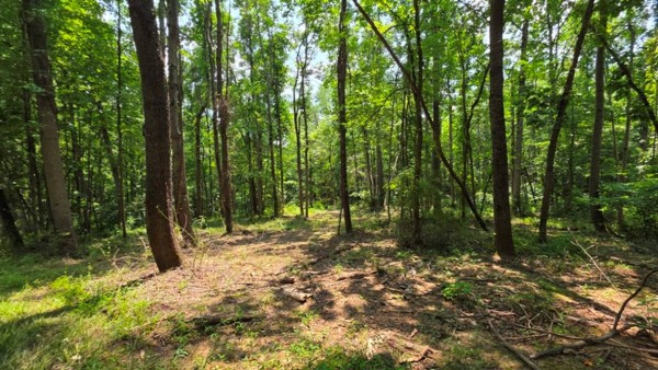 Tract 2 at Muskingum Woods property photo