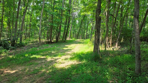 More of Tract 2 at Muskingum Woods