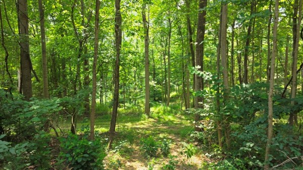 Tract 2 at Muskingum Woods property photo