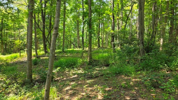 Tract 2 at Muskingum Woods property photo