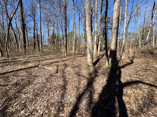 Tract 16 at The Ponds at Poplar Ridge property photo