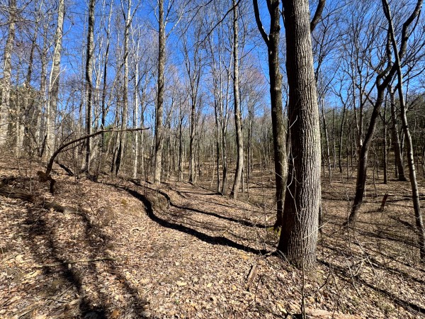 Tract 16 at The Ponds at Poplar Ridge property photo
