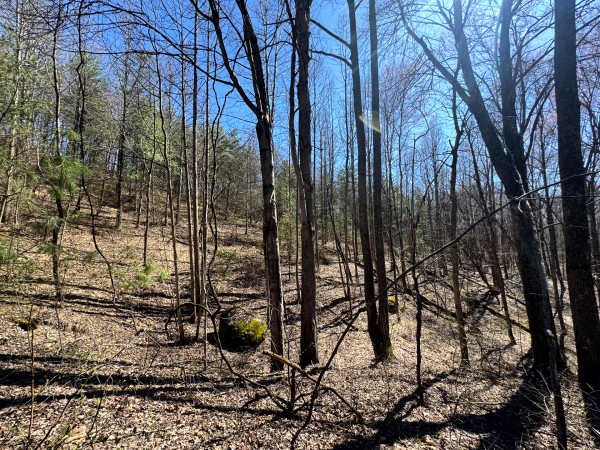 Tract 16 at The Ponds at Poplar Ridge property photo