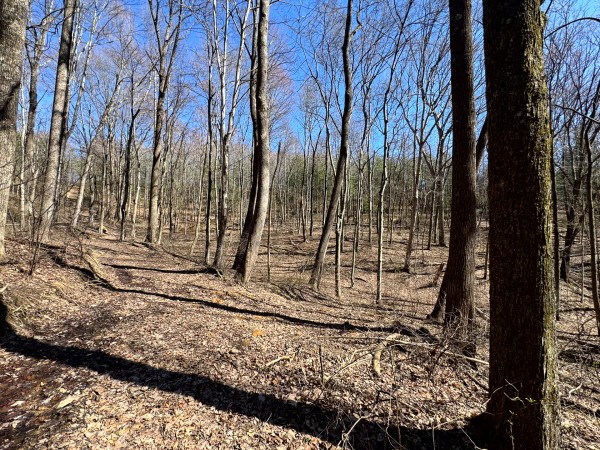 Tract 16 at The Ponds at Poplar Ridge property photo