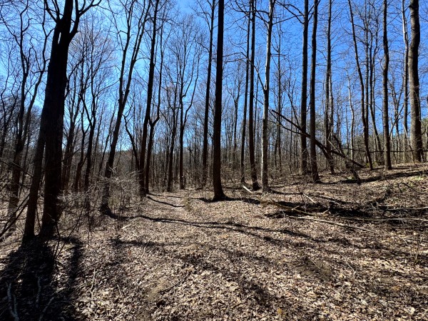 Tract 16 at The Ponds at Poplar Ridge property photo