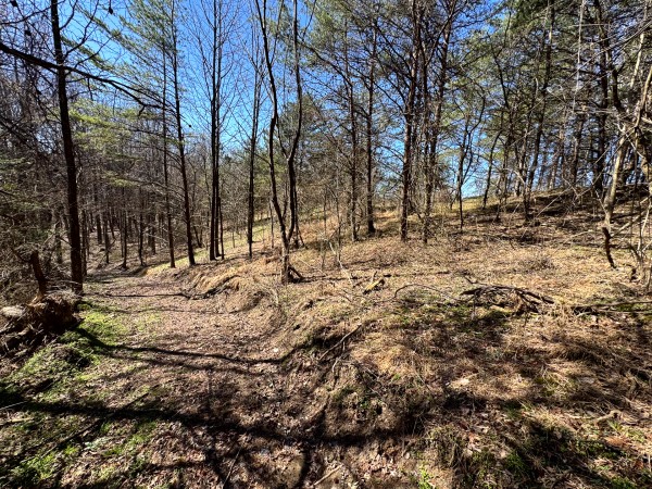 Tract 16 at The Ponds at Poplar Ridge property photo