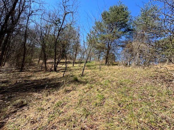 Tract 16 at The Ponds at Poplar Ridge property photo