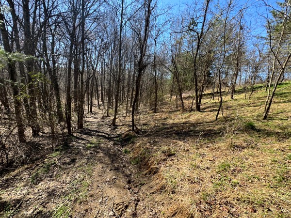 Tract 16 at The Ponds at Poplar Ridge property photo