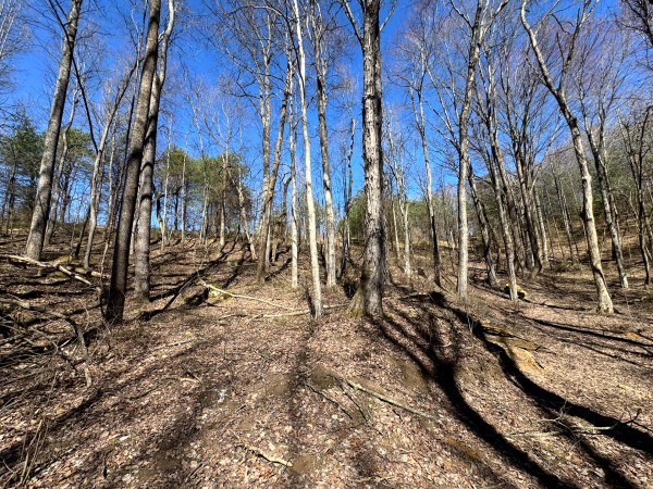 Tract 16 at The Ponds at Poplar Ridge property photo