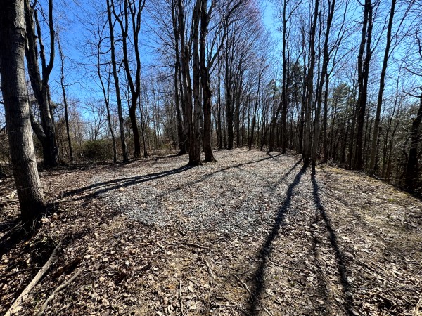 Tract 16 at The Ponds at Poplar Ridge property photo