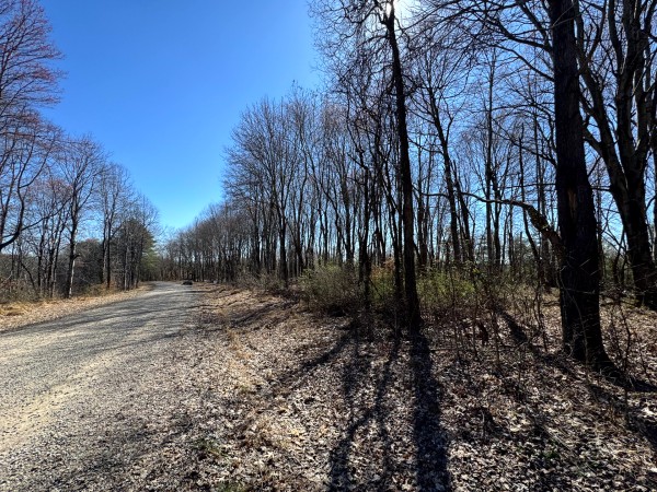 Tract 16 at The Ponds at Poplar Ridge property photo