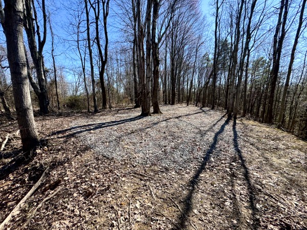 More of Tract 16 at The Ponds at Poplar Ridge