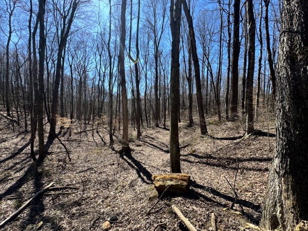 More of Tract 16 at The Ponds at Poplar Ridge