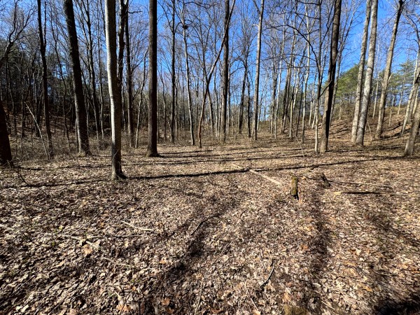 More of Tract 16 at The Ponds at Poplar Ridge