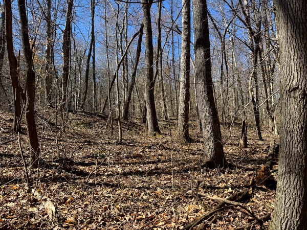 Tract 16 at The Ponds at Poplar Ridge property photo