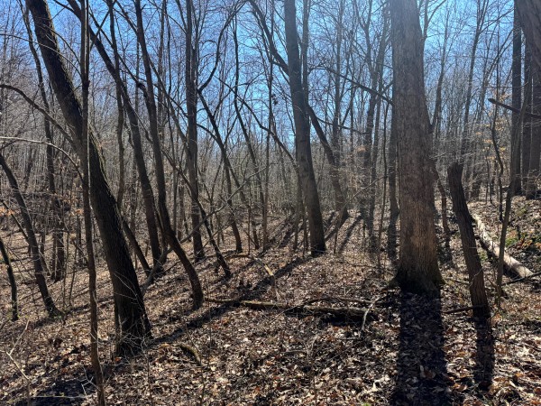 Tract 16 at The Ponds at Poplar Ridge property photo
