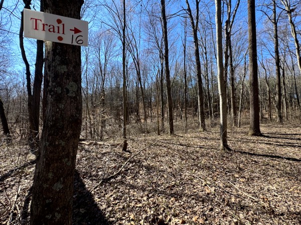 Tract 16 at The Ponds at Poplar Ridge property photo