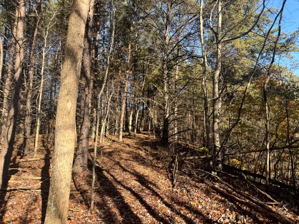 Tract 7 at The Ponds at Poplar Ridge property photo