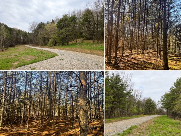 Tract 7 at The Ponds at Poplar Ridge