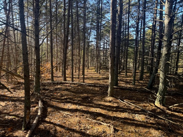 More of Tract 7 at The Ponds at Poplar Ridge