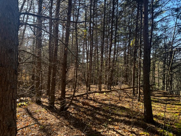 More of Tract 7 at The Ponds at Poplar Ridge
