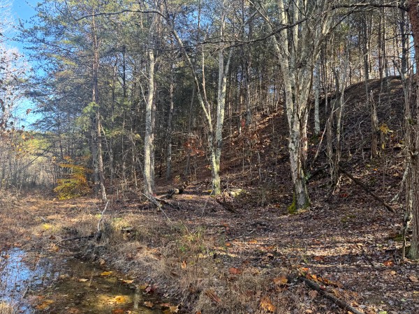 Tract 7 at The Ponds at Poplar Ridge property photo