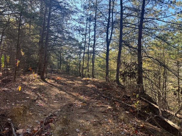 Tract 7 at The Ponds at Poplar Ridge property photo