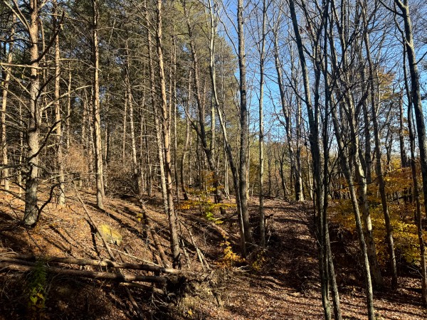 Tract 7 at The Ponds at Poplar Ridge property photo