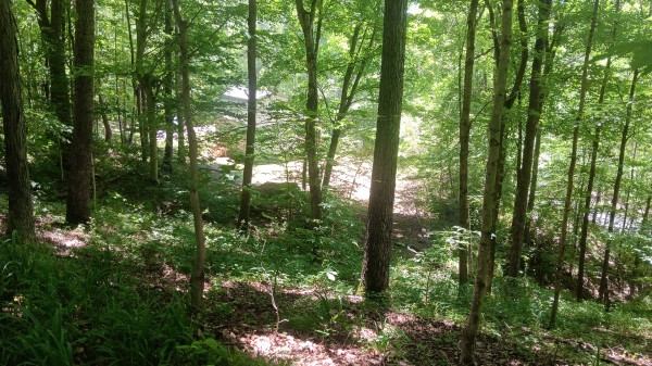 Creekview Cabin on Little Raccoon Creek property photo