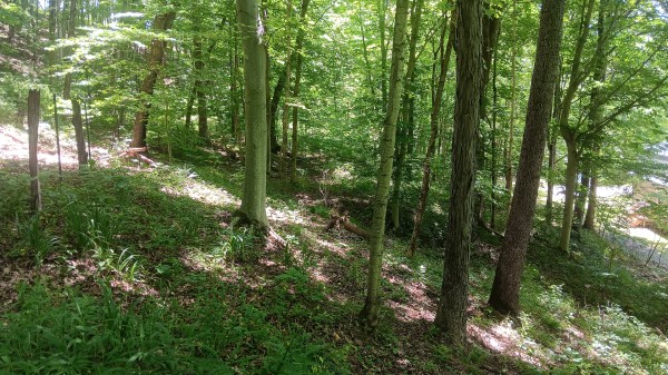Creekview Cabin on Little Raccoon Creek property photo
