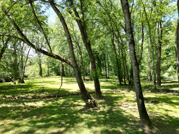 Creekview Cabin on Little Raccoon Creek property photo