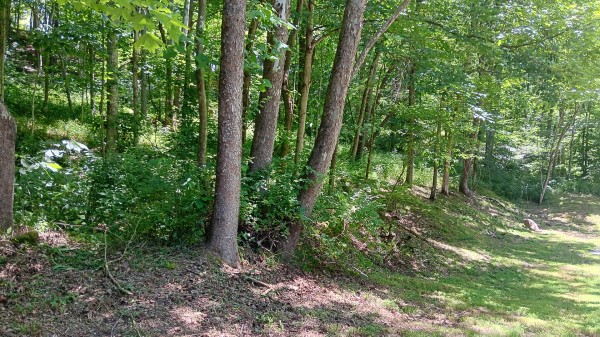 Creekview Cabin on Little Raccoon Creek property photo